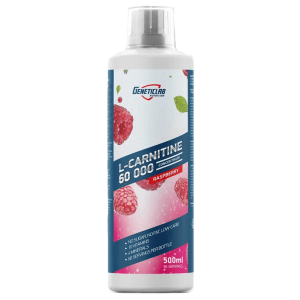 Geneticlab, L-Carnitine concentrate, 500 мл (66 порций)
